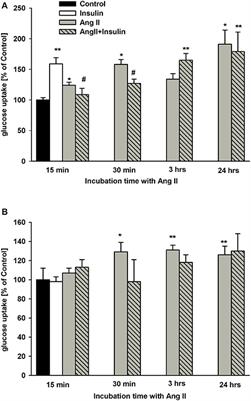 Angiotensin II Modulates Podocyte Glucose Transport